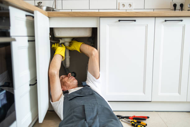 Best Commercial Plumbing Services  in Elberta, AL
